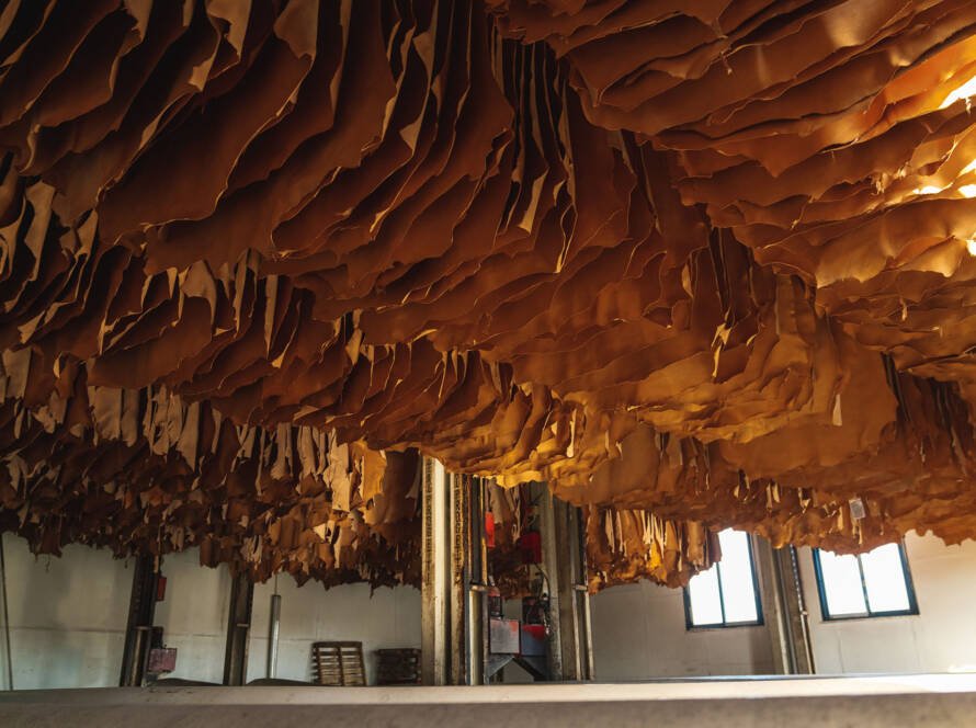 Artigiano del cuoio - Galleria fotografica delle fasi di lavorazione della concia e dell'ambiente